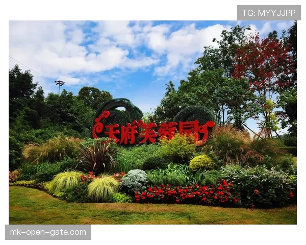 成都蓉城近期重点磨合攻防体系，为后续赛程积蓄力量
